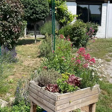 Wight Cottage منزل للإقامة